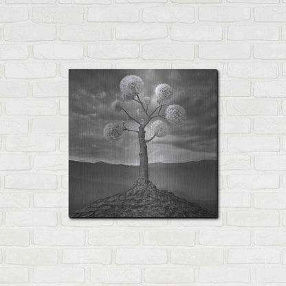 Luxe Metal Art 'Dandelion' by Dariusz Klimczak, Metal Wall Art,24x24
