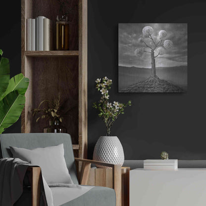 Luxe Metal Art 'Dandelion' by Dariusz Klimczak, Metal Wall Art,24x24