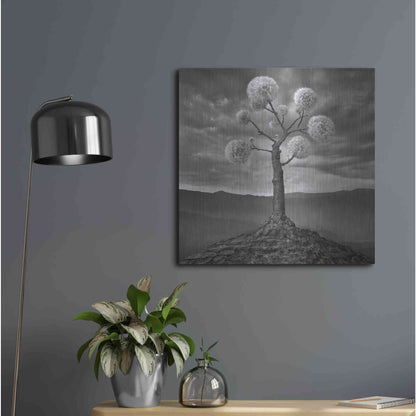 Luxe Metal Art 'Dandelion' by Dariusz Klimczak, Metal Wall Art,24x24