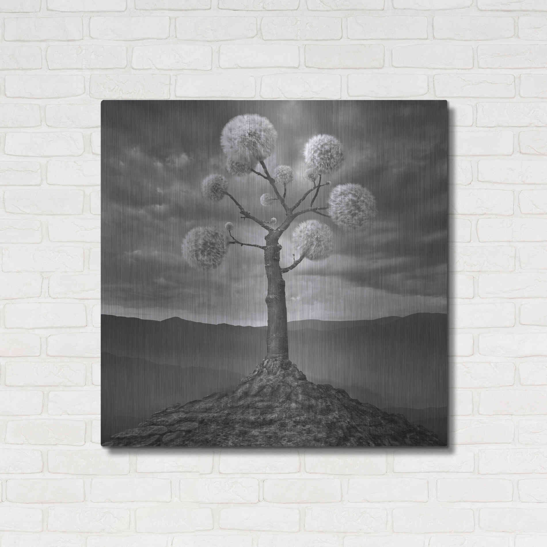 Luxe Metal Art 'Dandelion' by Dariusz Klimczak, Metal Wall Art,36x36