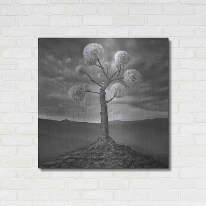 Luxe Metal Art 'Dandelion' by Dariusz Klimczak, Metal Wall Art,36x36