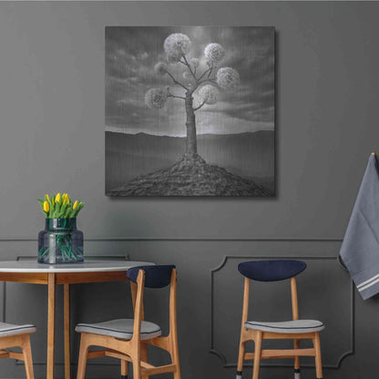 Luxe Metal Art 'Dandelion' by Dariusz Klimczak, Metal Wall Art,36x36