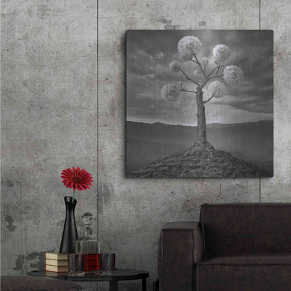 Luxe Metal Art 'Dandelion' by Dariusz Klimczak, Metal Wall Art,36x36