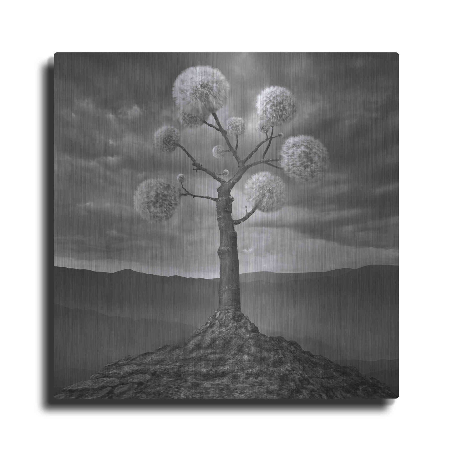 Luxe Metal Art 'Dandelion' by Dariusz Klimczak, Metal Wall Art