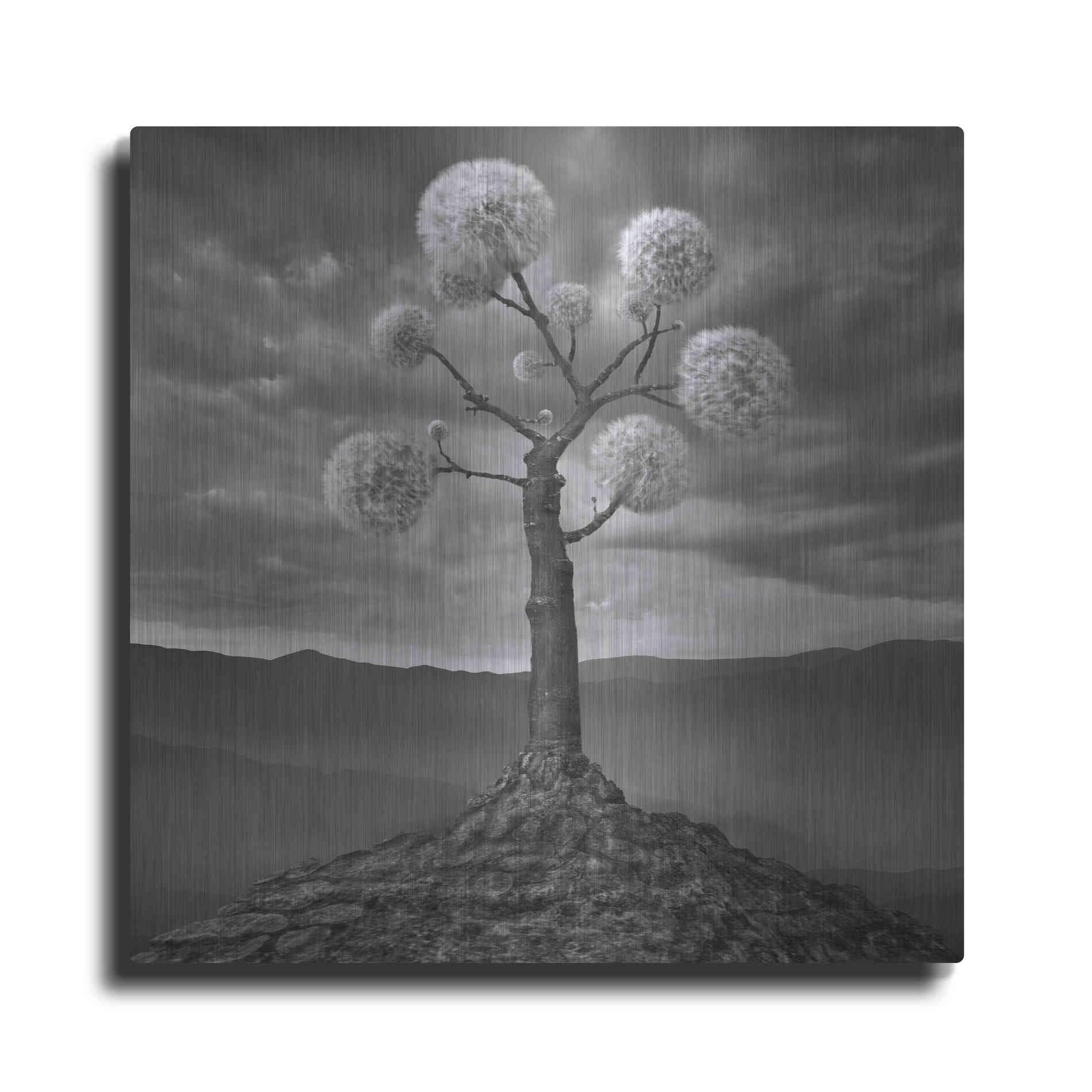 Luxe Metal Art 'Dandelion' by Dariusz Klimczak, Metal Wall Art