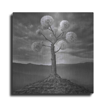 Luxe Metal Art 'Dandelion' by Dariusz Klimczak, Metal Wall Art