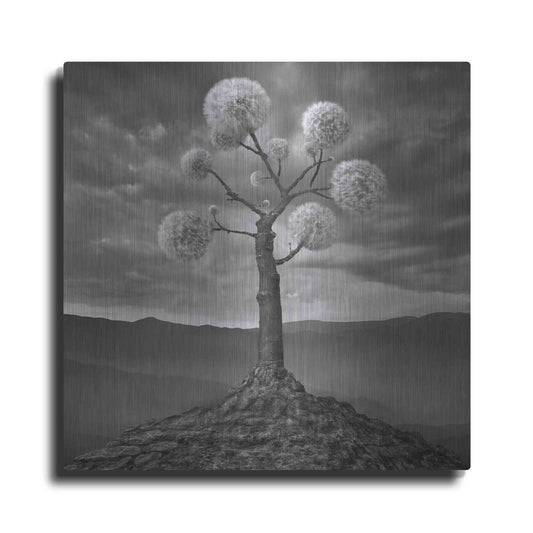 Luxe Metal Art 'Dandelion' by Dariusz Klimczak, Metal Wall Art
