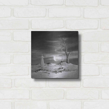 Luxe Metal Art 'Daydream' by Dariusz Klimczak, Metal Wall Art,12x12