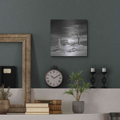 Luxe Metal Art 'Daydream' by Dariusz Klimczak, Metal Wall Art,12x12