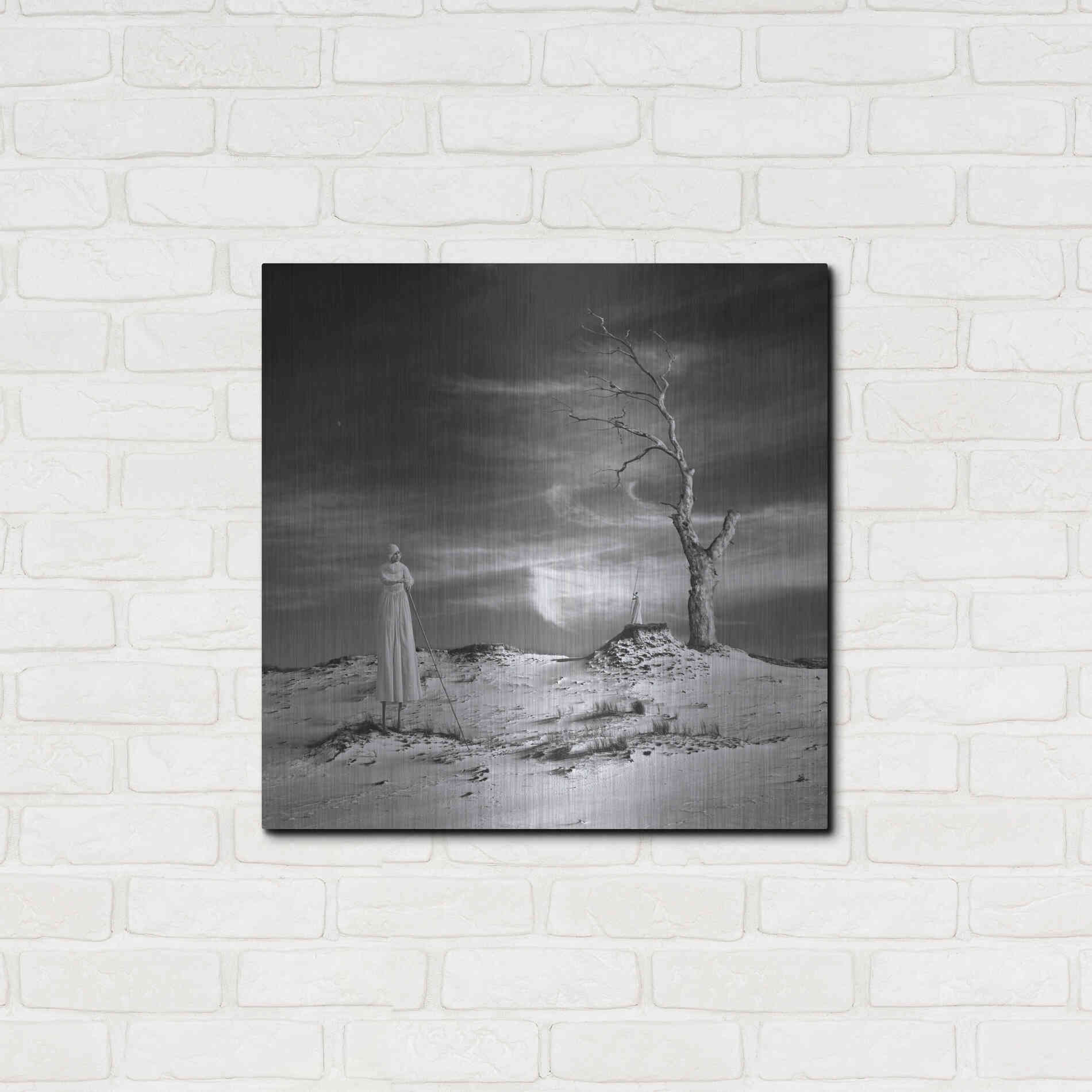 Luxe Metal Art 'Daydream' by Dariusz Klimczak, Metal Wall Art,24x24