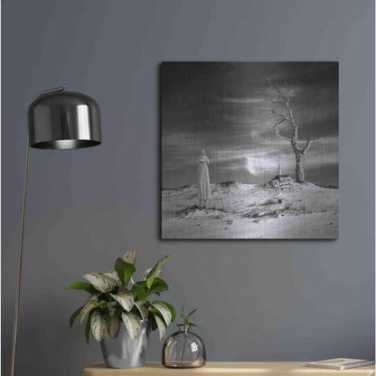 Luxe Metal Art 'Daydream' by Dariusz Klimczak, Metal Wall Art,24x24