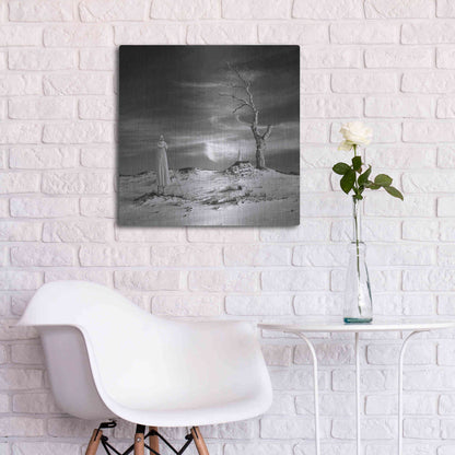 Luxe Metal Art 'Daydream' by Dariusz Klimczak, Metal Wall Art,24x24