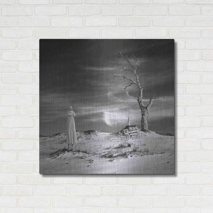 Luxe Metal Art 'Daydream' by Dariusz Klimczak, Metal Wall Art,36x36