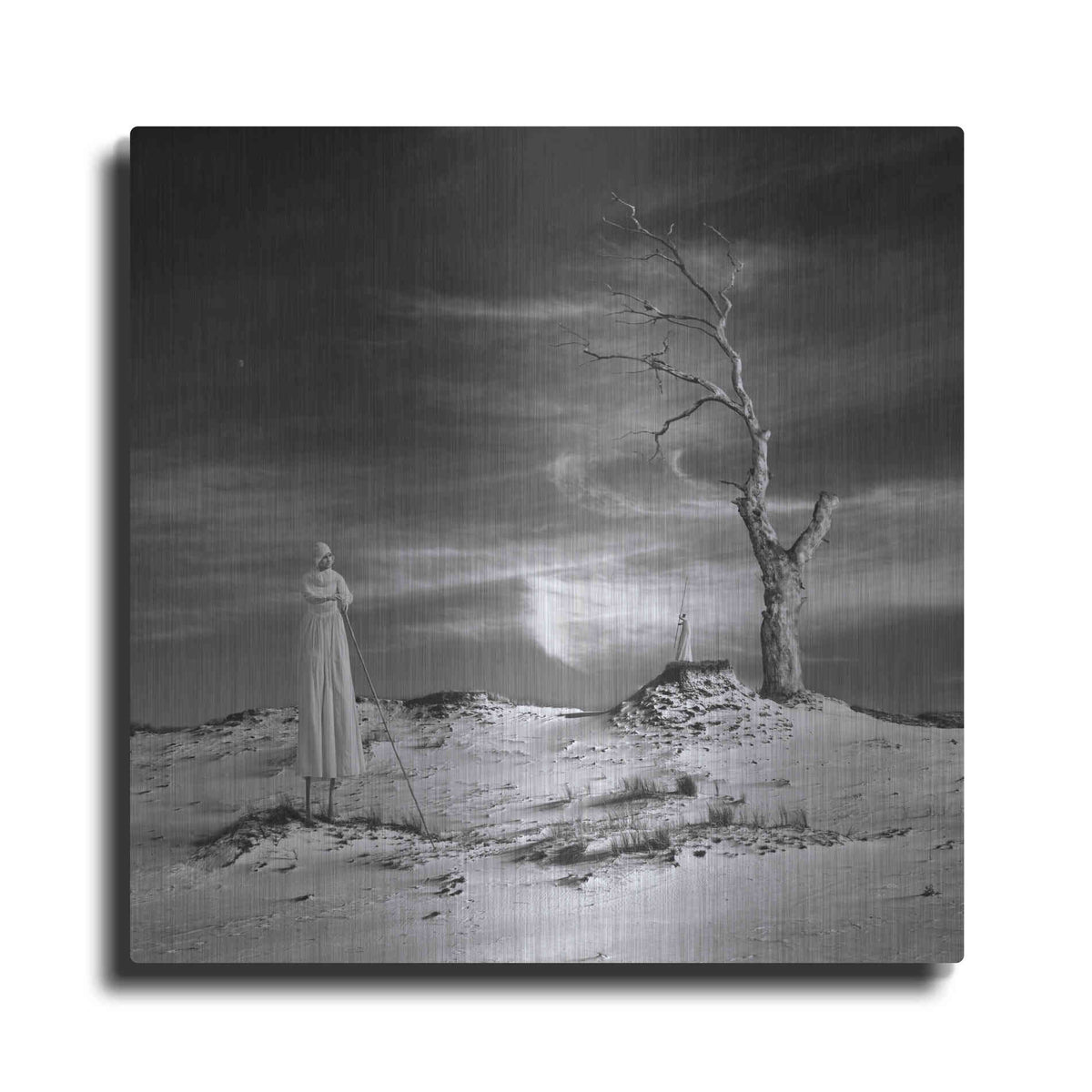 Luxe Metal Art 'Daydream' by Dariusz Klimczak, Metal Wall Art