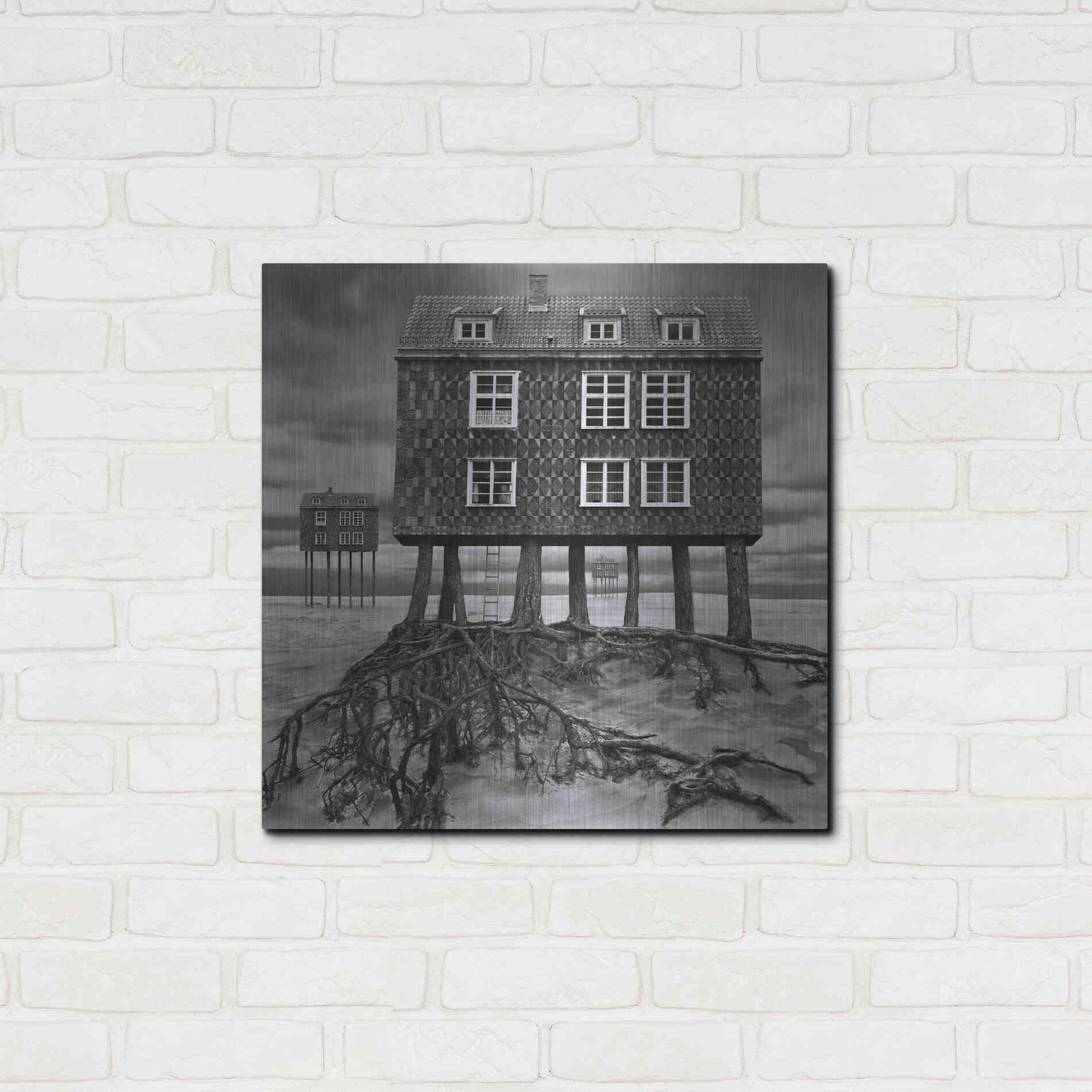 Luxe Metal Art 'Origin' by Dariusz Klimczak, Metal Wall Art,24x24