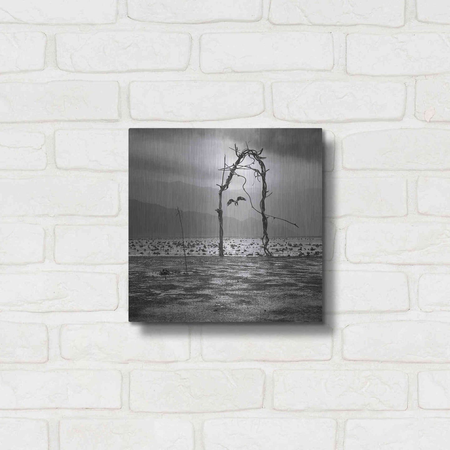 Luxe Metal Art 'Eagle' by Dariusz Klimczak, Metal Wall Art,12x12