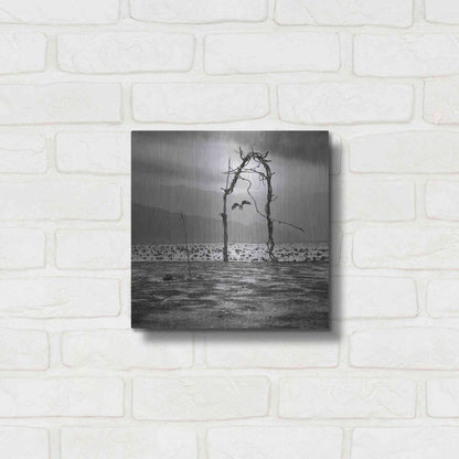 Luxe Metal Art 'Eagle' by Dariusz Klimczak, Metal Wall Art,12x12