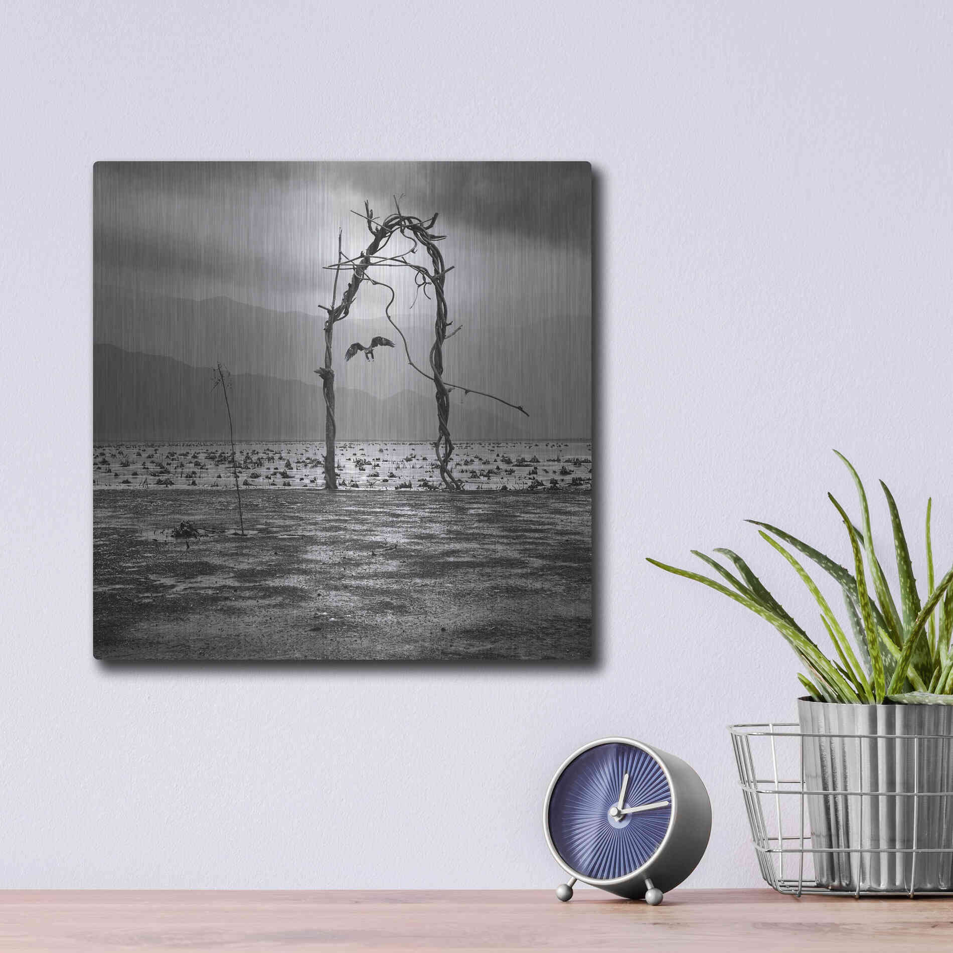 Luxe Metal Art 'Eagle' by Dariusz Klimczak, Metal Wall Art,12x12