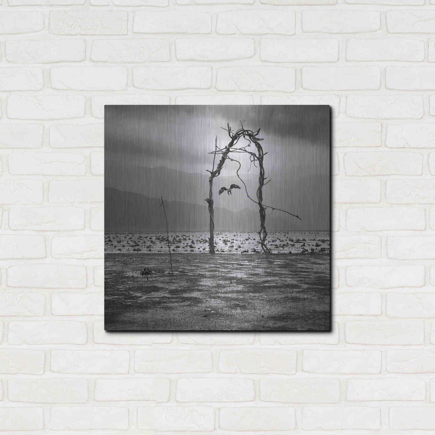 Luxe Metal Art 'Eagle' by Dariusz Klimczak, Metal Wall Art,24x24