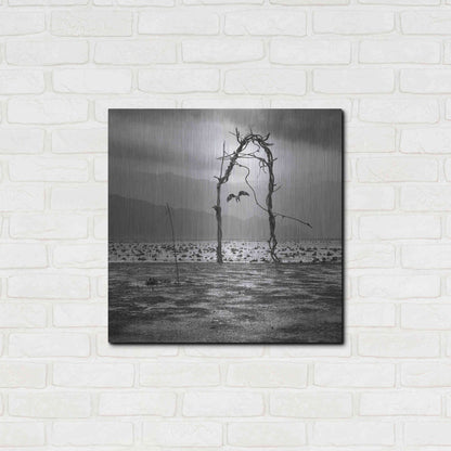 Luxe Metal Art 'Eagle' by Dariusz Klimczak, Metal Wall Art,24x24