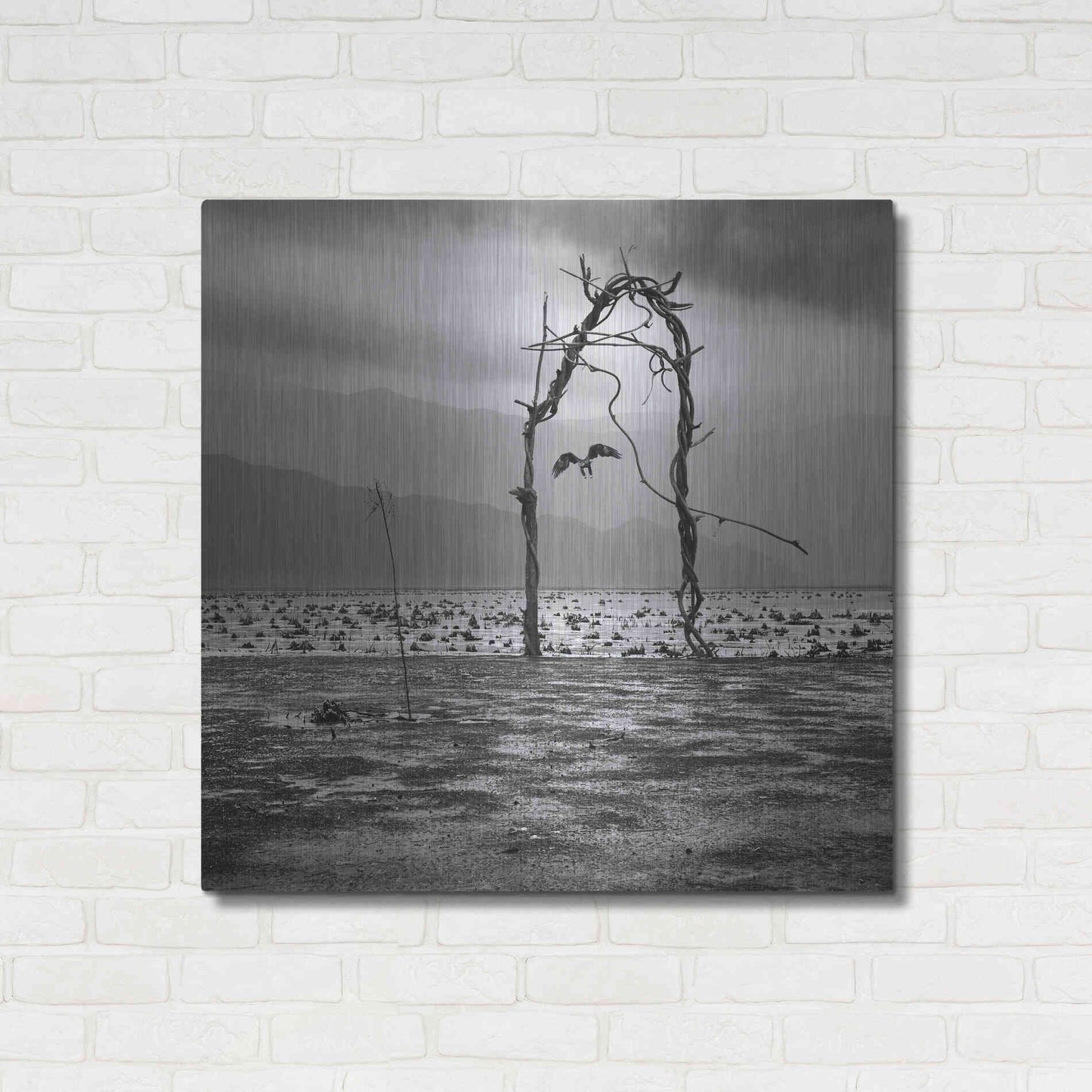 Luxe Metal Art 'Eagle' by Dariusz Klimczak, Metal Wall Art,36x36