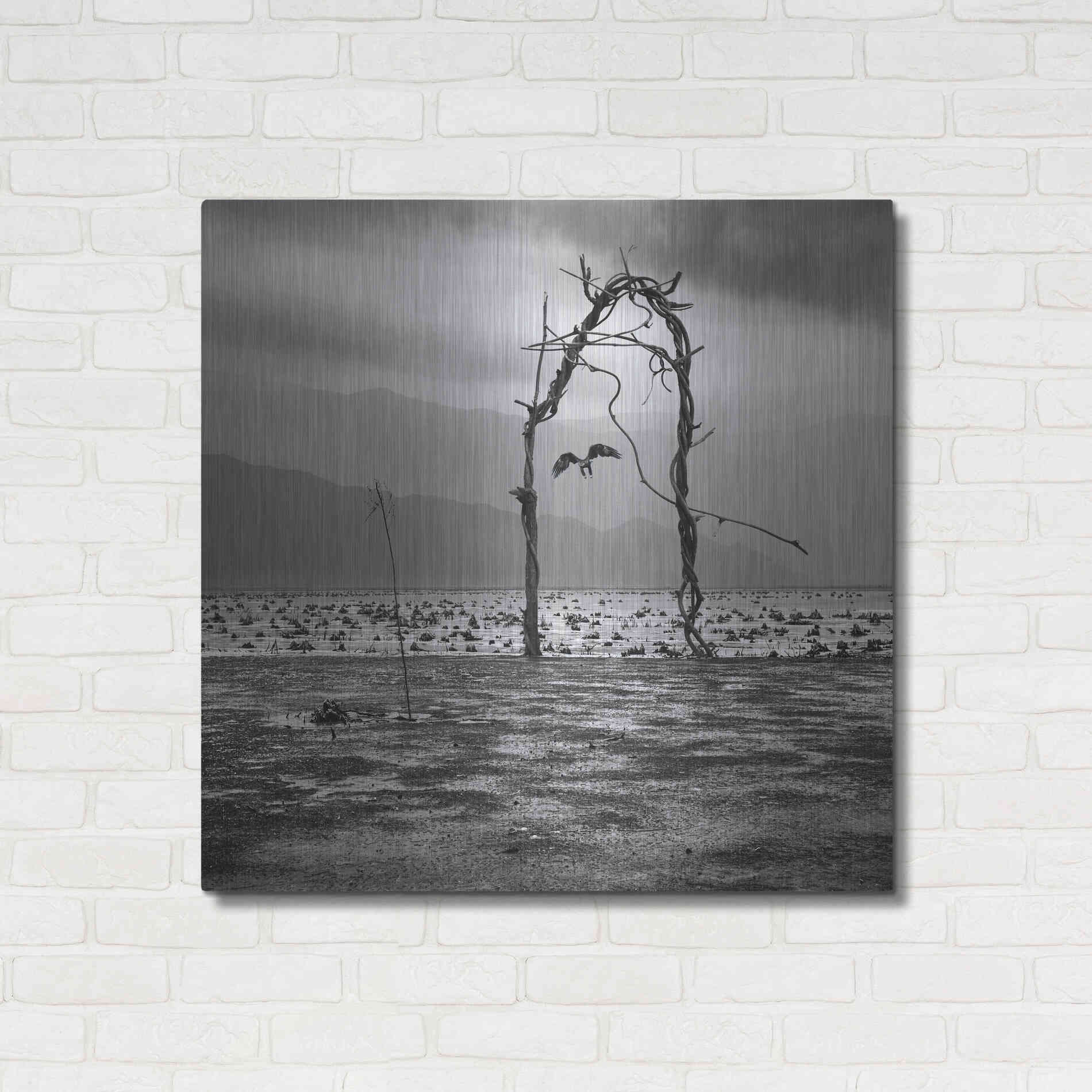 Luxe Metal Art 'Eagle' by Dariusz Klimczak, Metal Wall Art,36x36