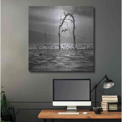 Luxe Metal Art 'Eagle' by Dariusz Klimczak, Metal Wall Art,36x36