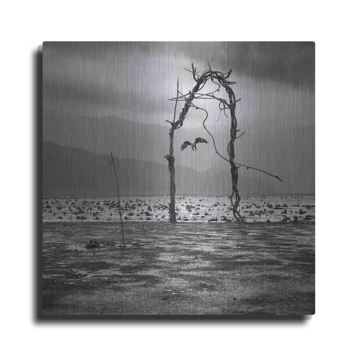 Luxe Metal Art 'Eagle' by Dariusz Klimczak, Metal Wall Art
