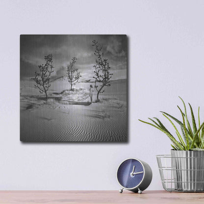 Luxe Metal Art 'Egarden' by Dariusz Klimczak, Metal Wall Art,12x12