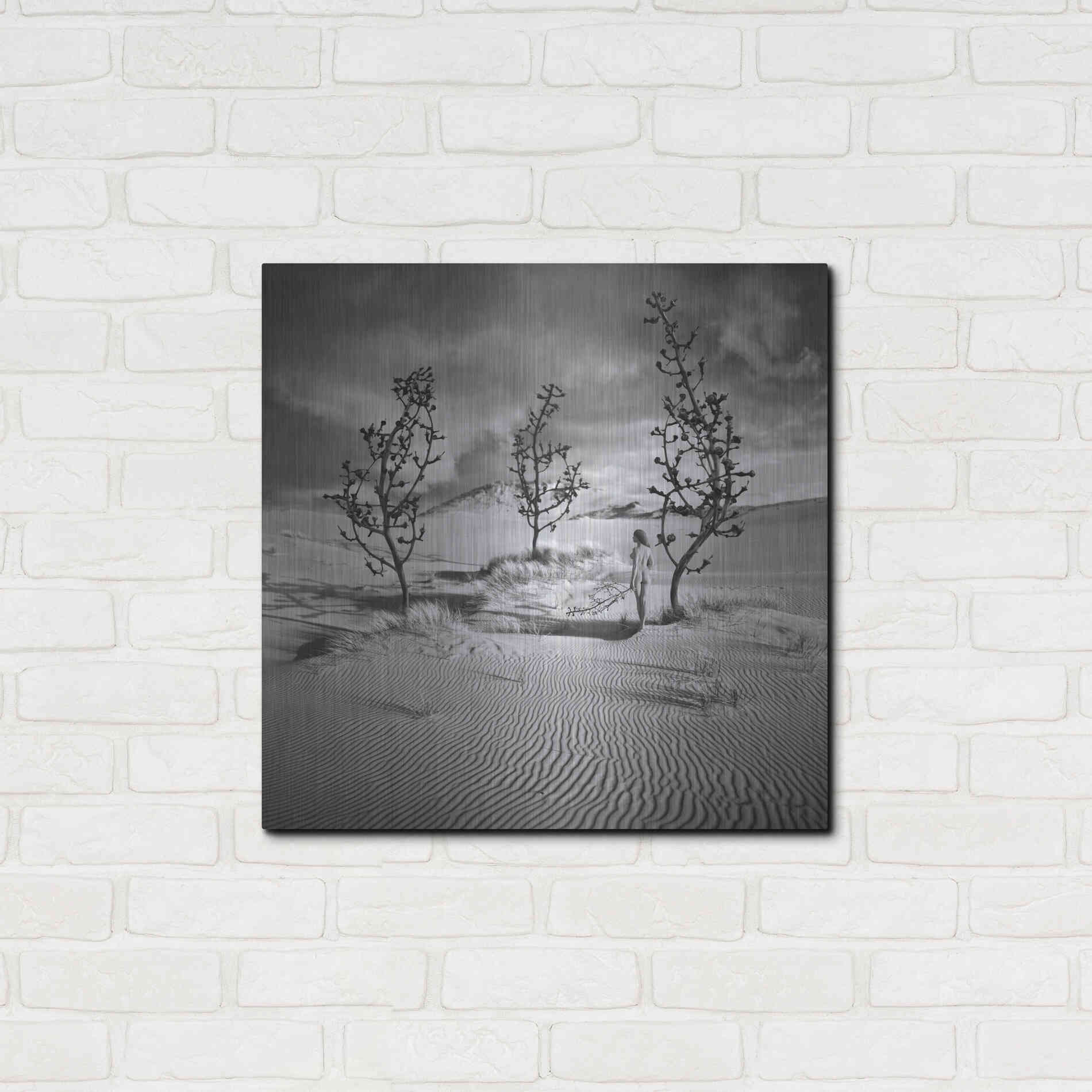 Luxe Metal Art 'Egarden' by Dariusz Klimczak, Metal Wall Art,24x24