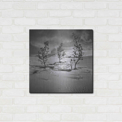 Luxe Metal Art 'Egarden' by Dariusz Klimczak, Metal Wall Art,24x24