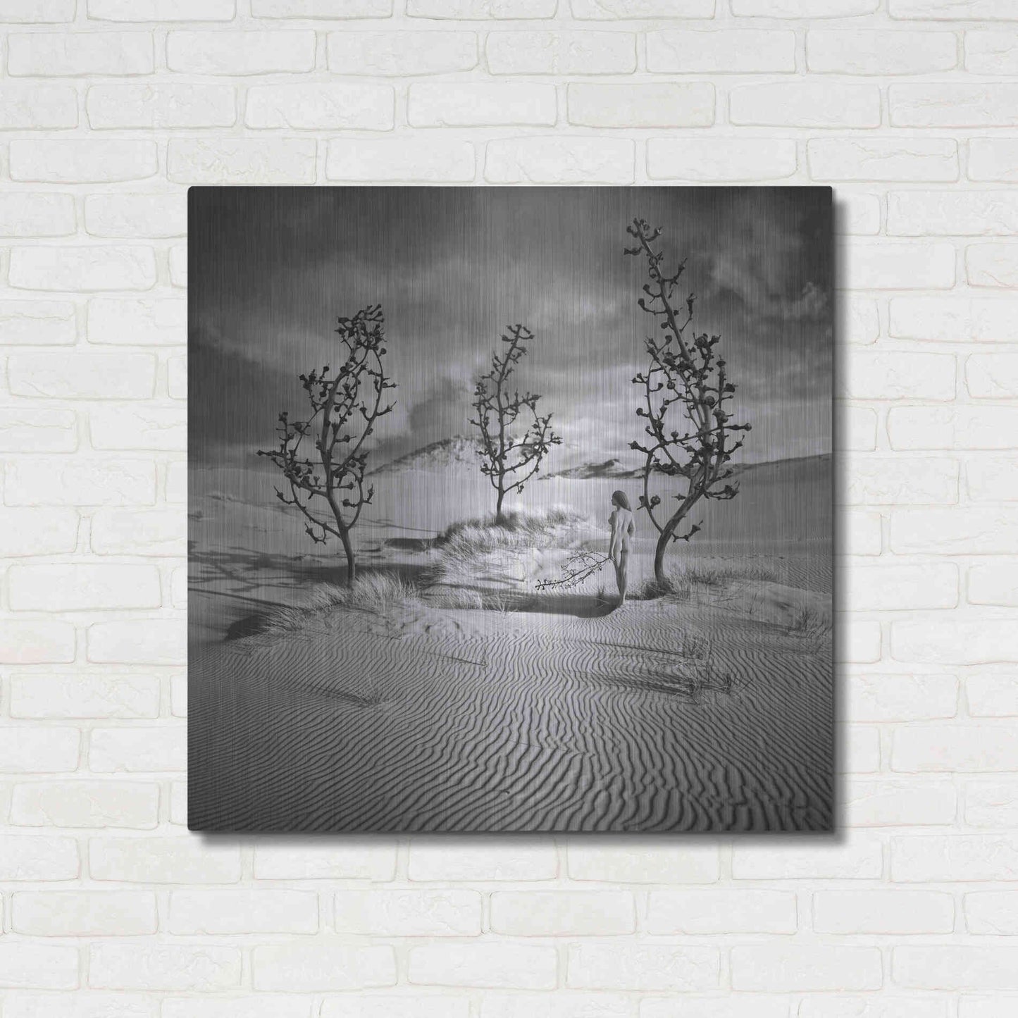 Luxe Metal Art 'Egarden' by Dariusz Klimczak, Metal Wall Art,36x36