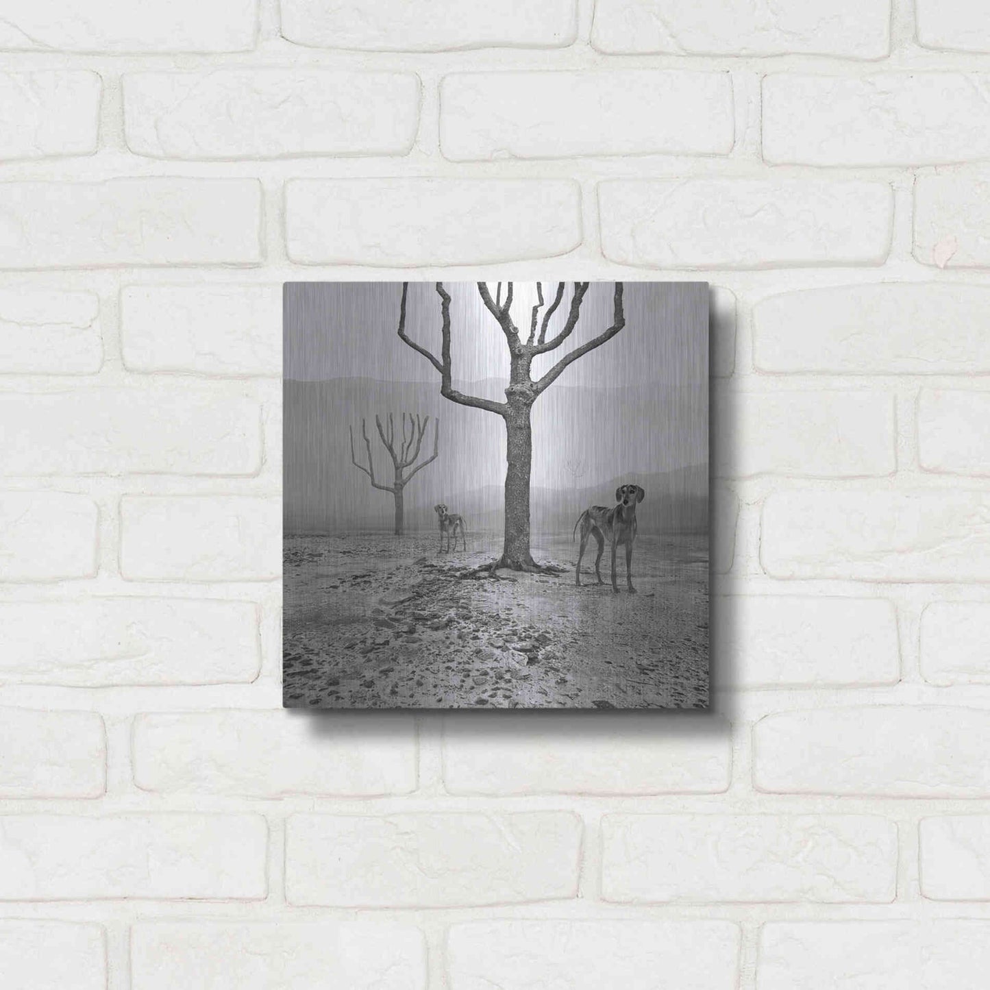 Luxe Metal Art 'Dogs in Fog' by Dariusz Klimczak, Metal Wall Art,12x12