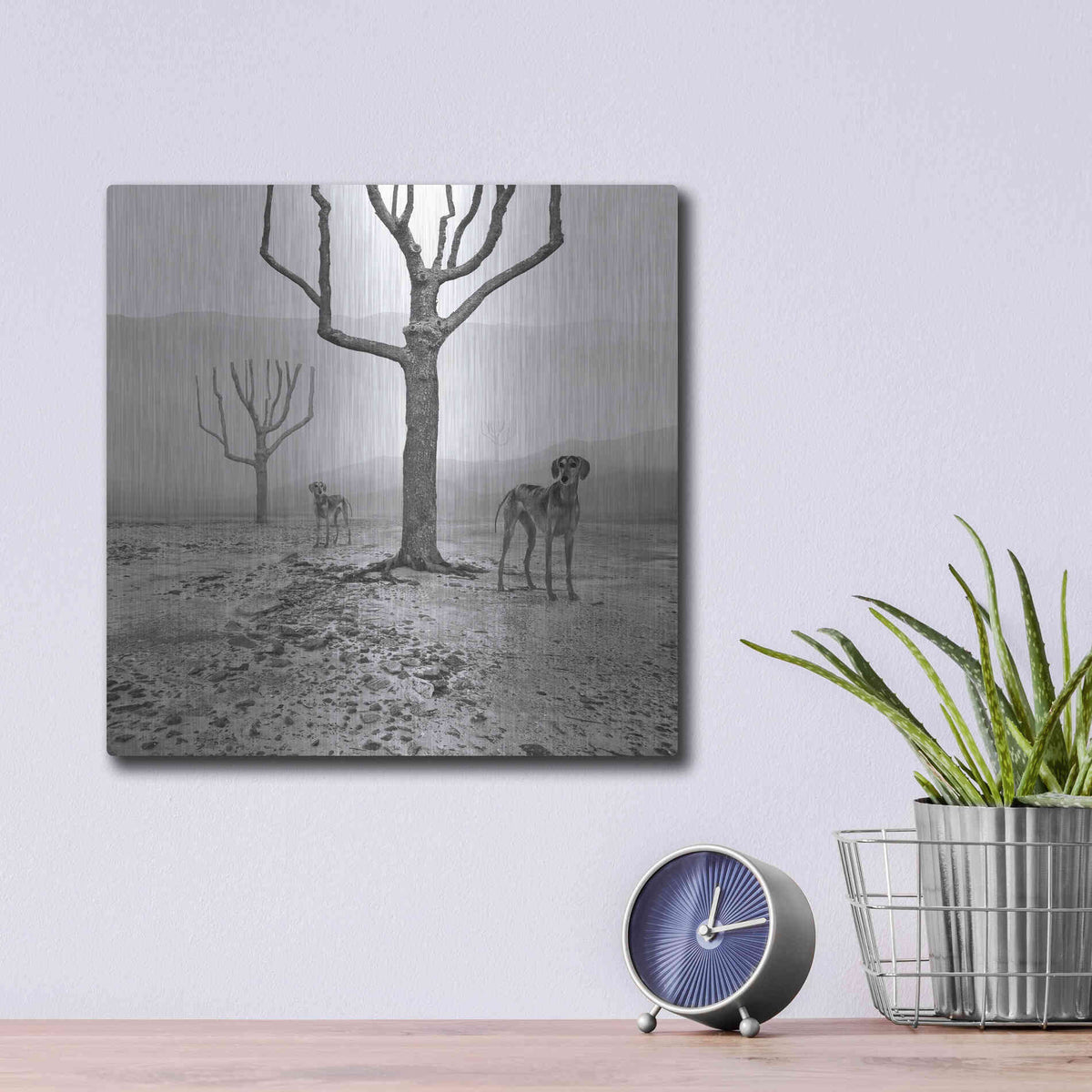 Luxe Metal Art 'Dogs in Fog' by Dariusz Klimczak, Metal Wall Art,12x12