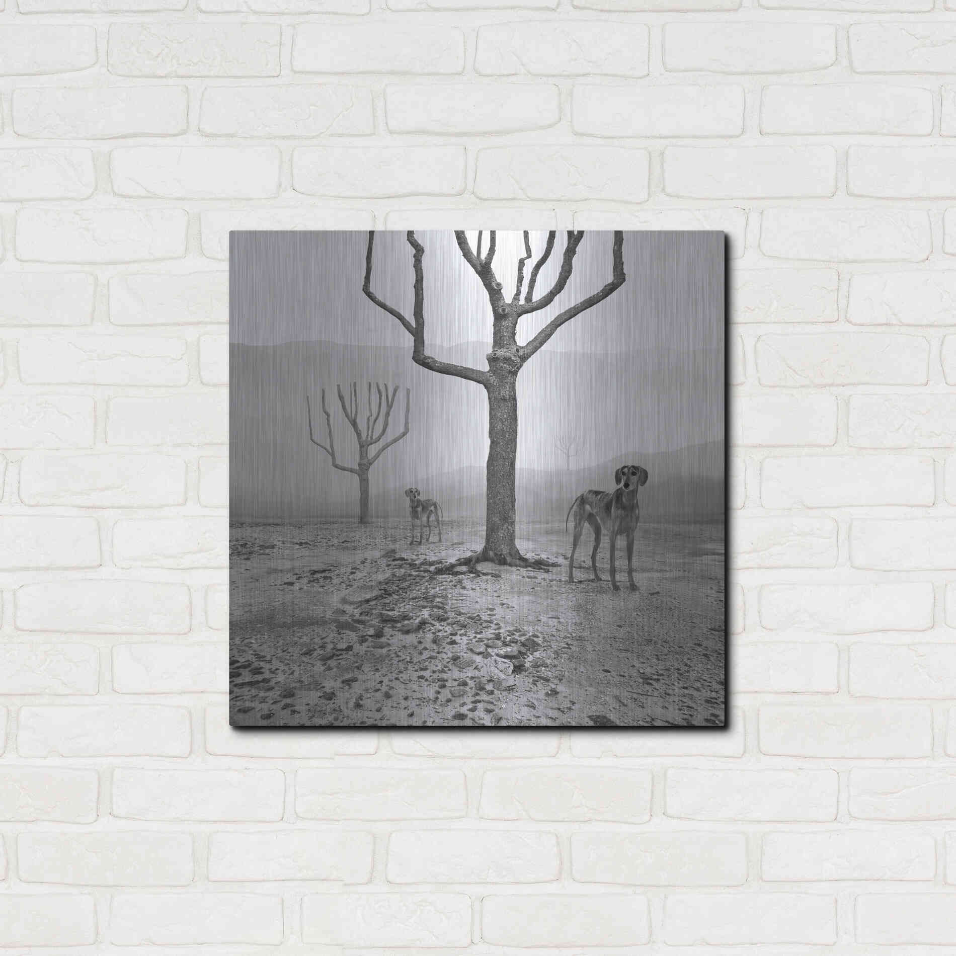 Luxe Metal Art 'Dogs in Fog' by Dariusz Klimczak, Metal Wall Art,24x24