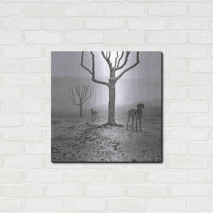 Luxe Metal Art 'Dogs in Fog' by Dariusz Klimczak, Metal Wall Art,24x24