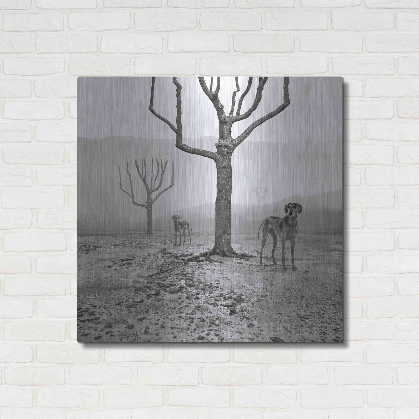 Luxe Metal Art 'Dogs in Fog' by Dariusz Klimczak, Metal Wall Art,36x36