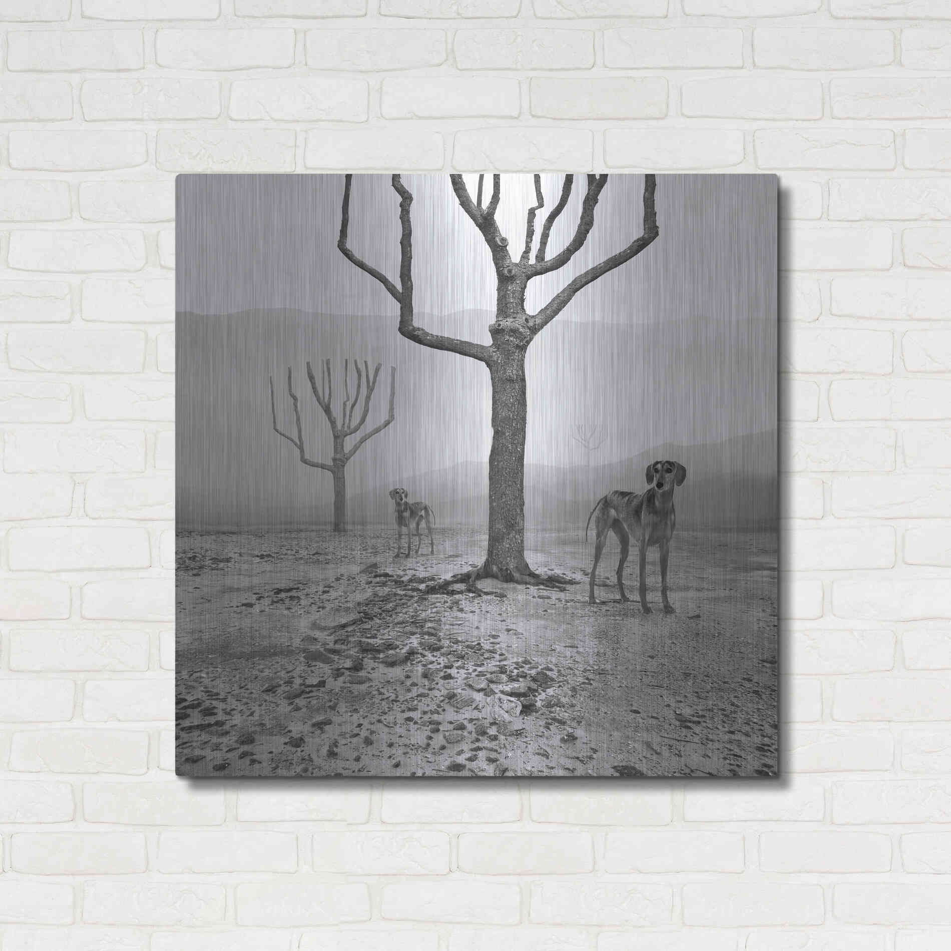 Luxe Metal Art 'Dogs in Fog' by Dariusz Klimczak, Metal Wall Art,36x36