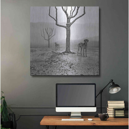 Luxe Metal Art 'Dogs in Fog' by Dariusz Klimczak, Metal Wall Art,36x36