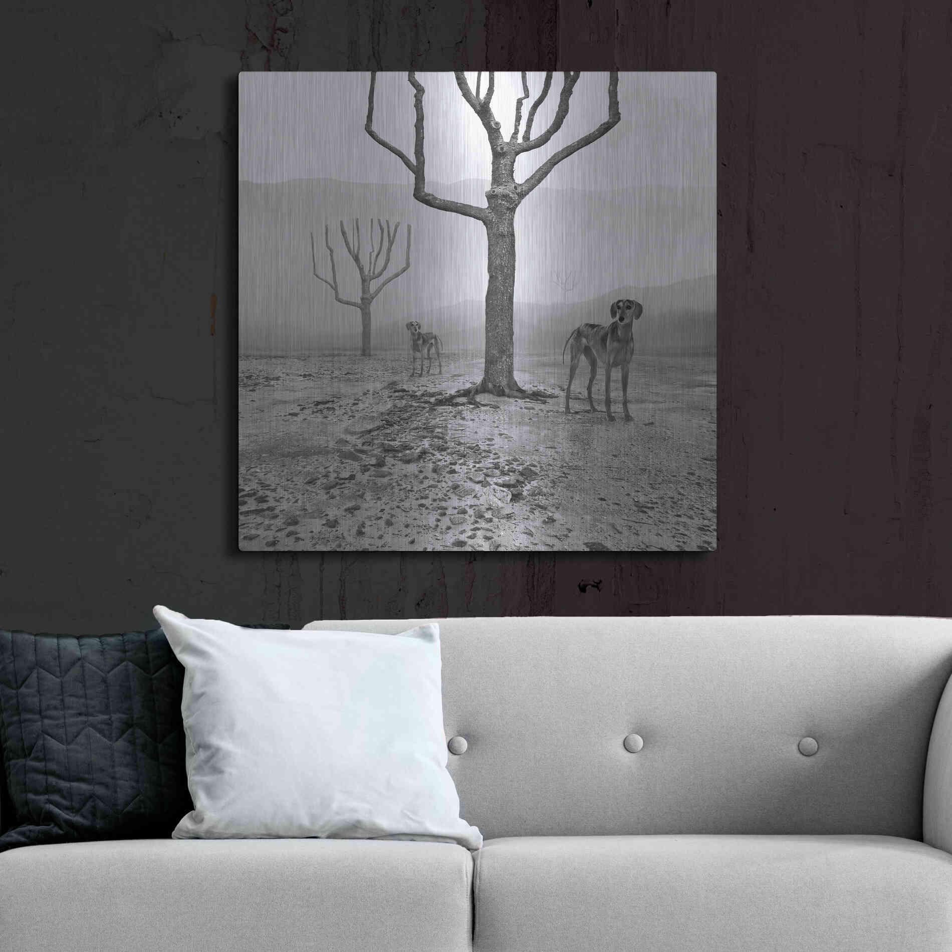 Luxe Metal Art 'Dogs in Fog' by Dariusz Klimczak, Metal Wall Art,36x36