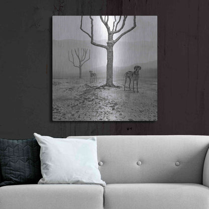 Luxe Metal Art 'Dogs in Fog' by Dariusz Klimczak, Metal Wall Art,36x36