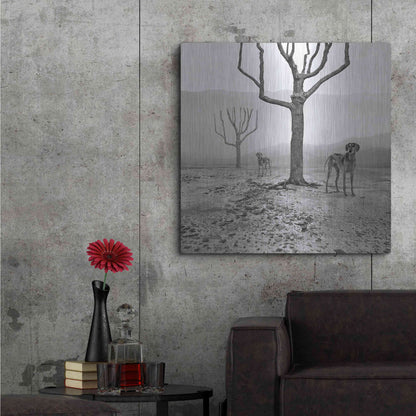 Luxe Metal Art 'Dogs in Fog' by Dariusz Klimczak, Metal Wall Art,36x36