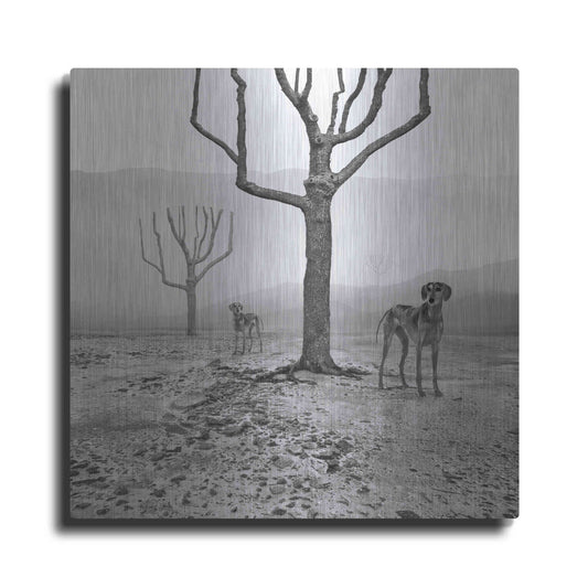 Luxe Metal Art 'Dogs in Fog' by Dariusz Klimczak, Metal Wall Art