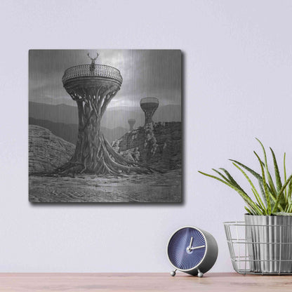 Luxe Metal Art 'Pulpit' by Dariusz Klimczak, Metal Wall Art,12x12