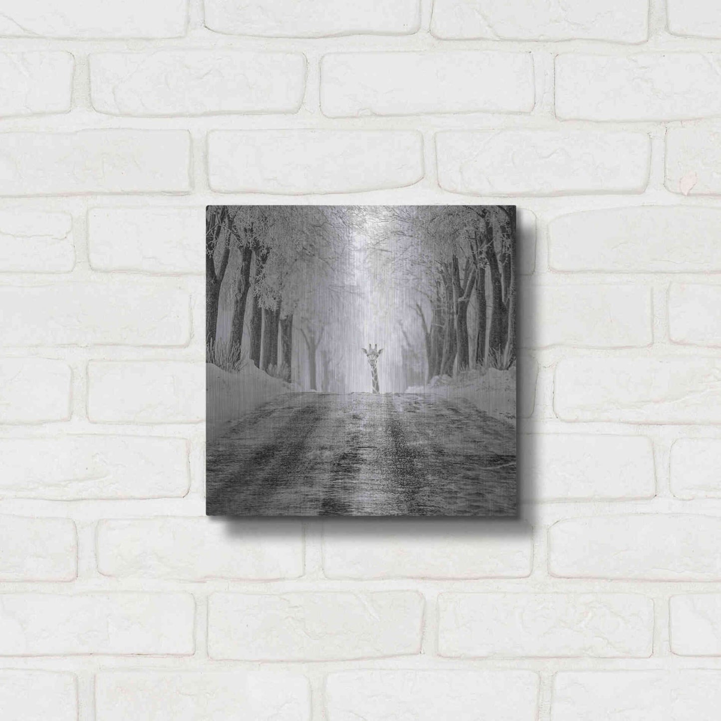 Luxe Metal Art 'Surprise' by Dariusz Klimczak, Metal Wall Art,12x12