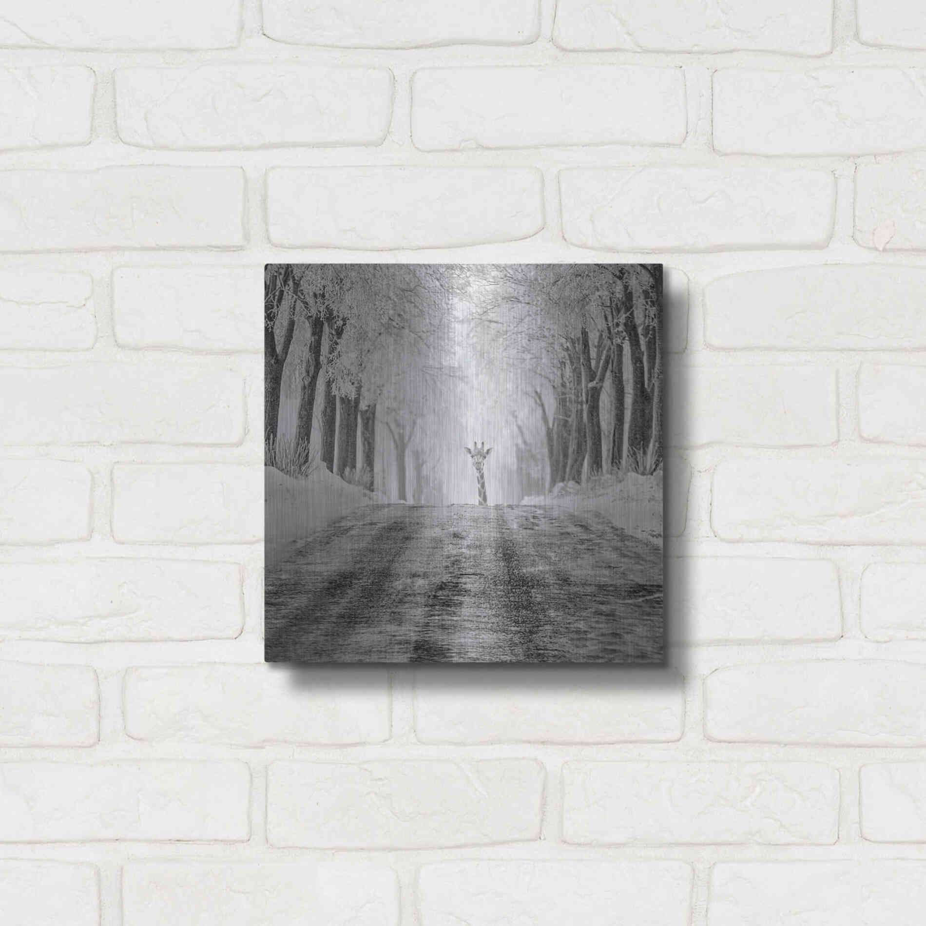 Luxe Metal Art 'Surprise' by Dariusz Klimczak, Metal Wall Art,12x12