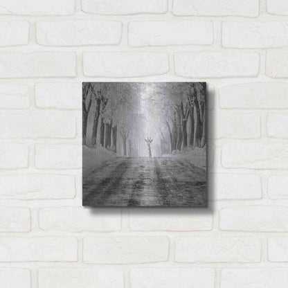 Luxe Metal Art 'Surprise' by Dariusz Klimczak, Metal Wall Art,12x12