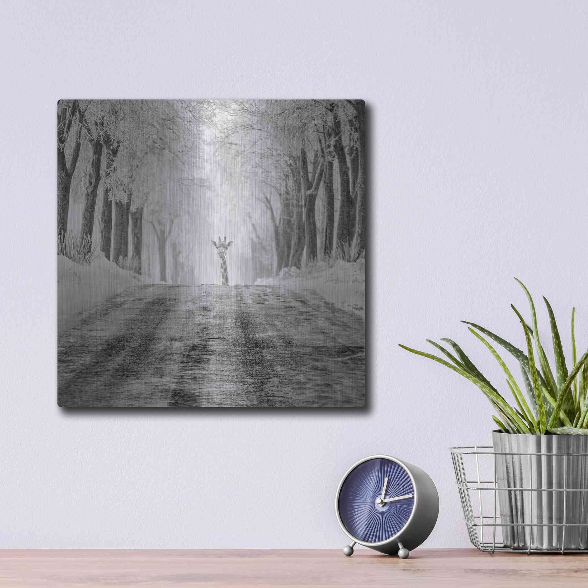 Luxe Metal Art 'Surprise' by Dariusz Klimczak, Metal Wall Art,12x12