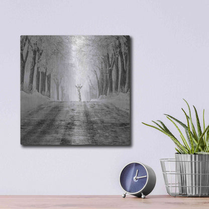Luxe Metal Art 'Surprise' by Dariusz Klimczak, Metal Wall Art,12x12