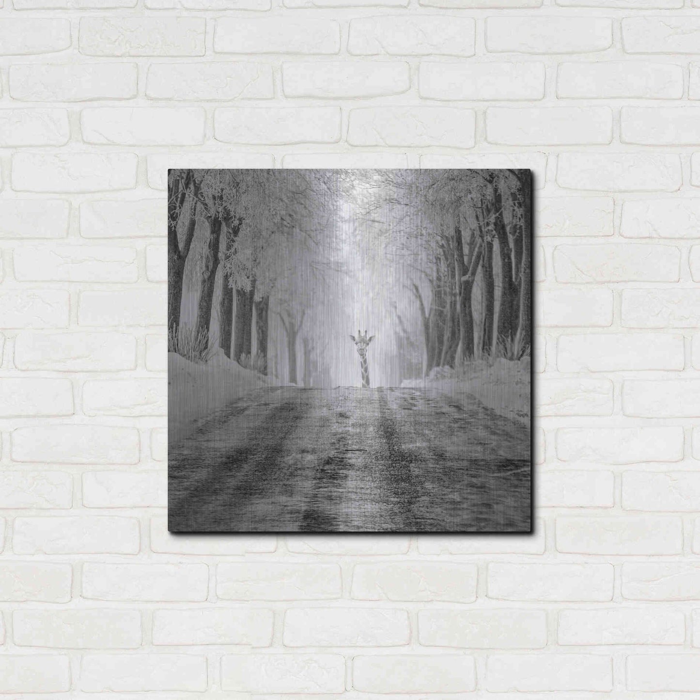 Luxe Metal Art 'Surprise' by Dariusz Klimczak, Metal Wall Art,24x24